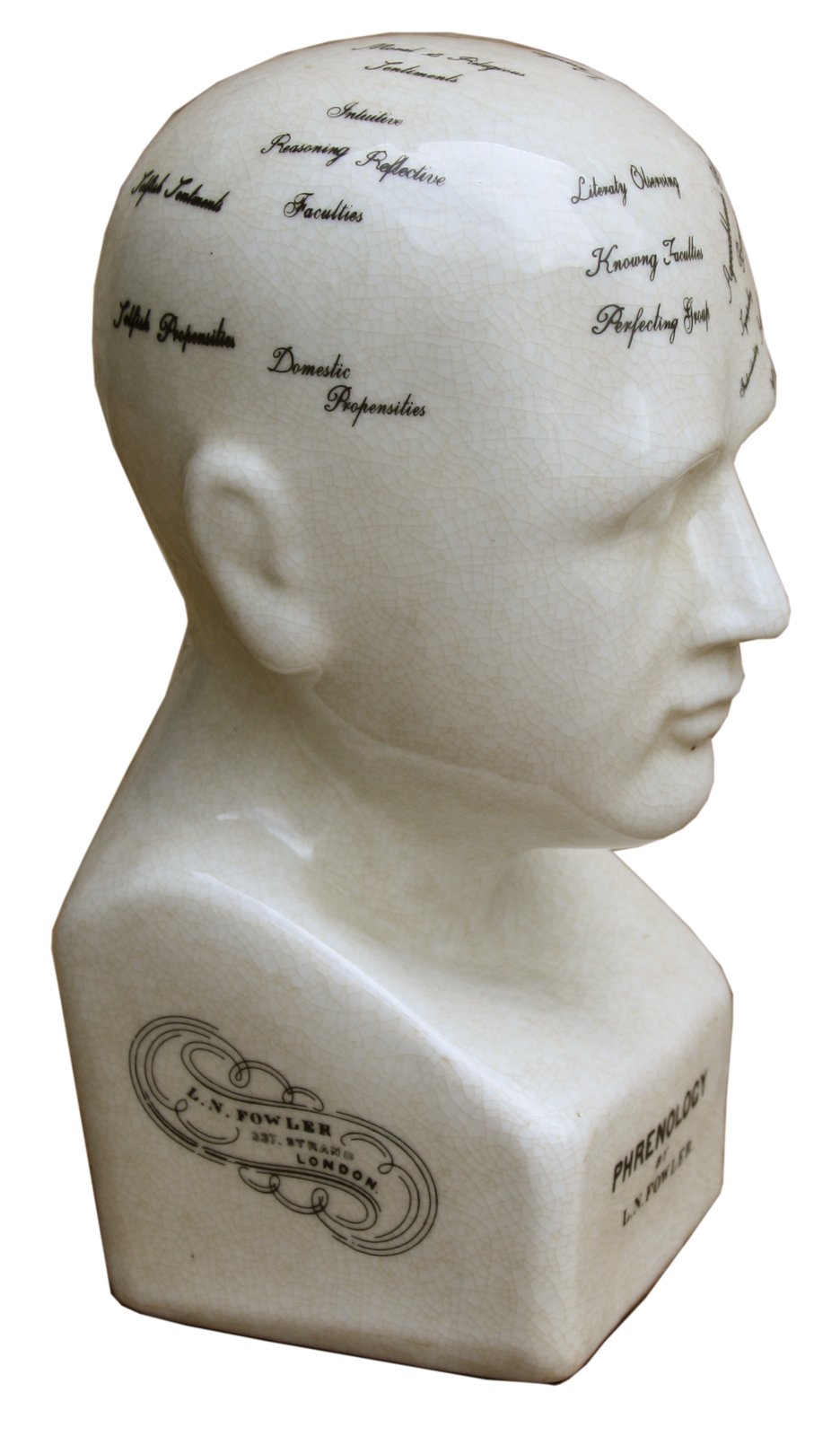 Small Ceramic Phrenology Head, 19cm