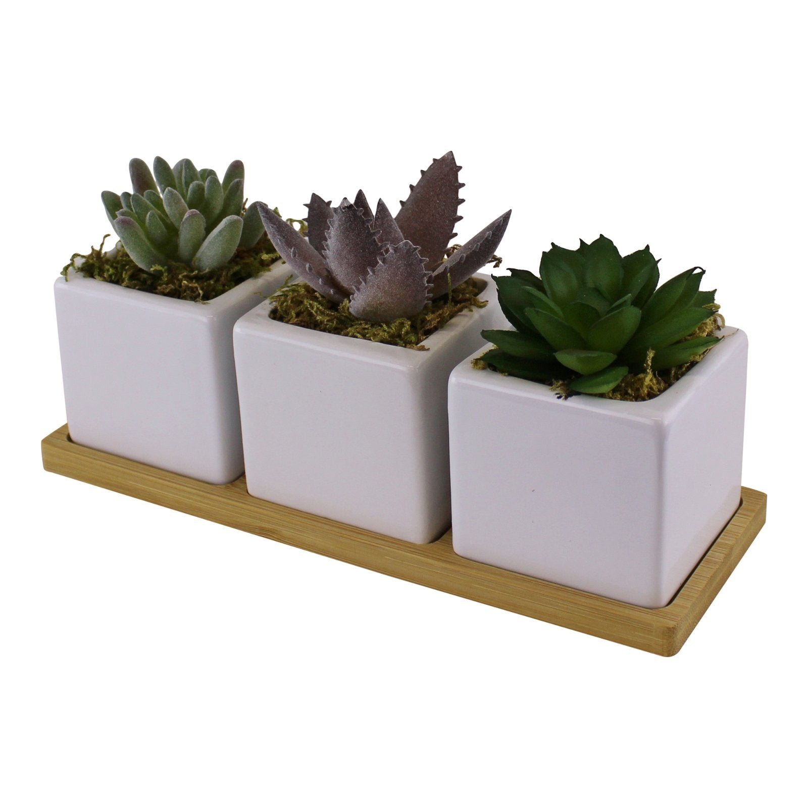 Set of 3 Faux Succulents On A Wooden Tray