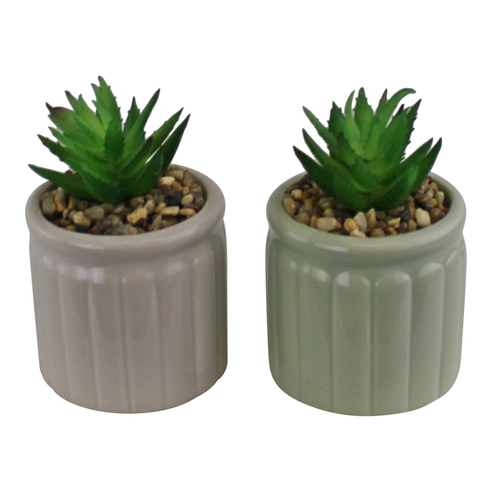 Set of Two Succulents In Ceramic Pots