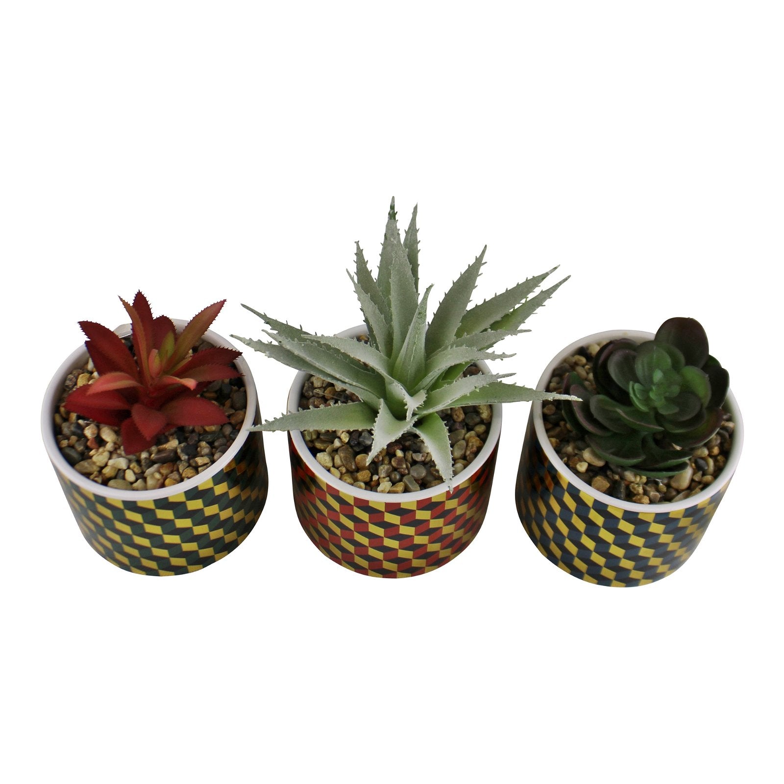 Set of 3 Succulents In Ceramic Pots With A Cubic Design