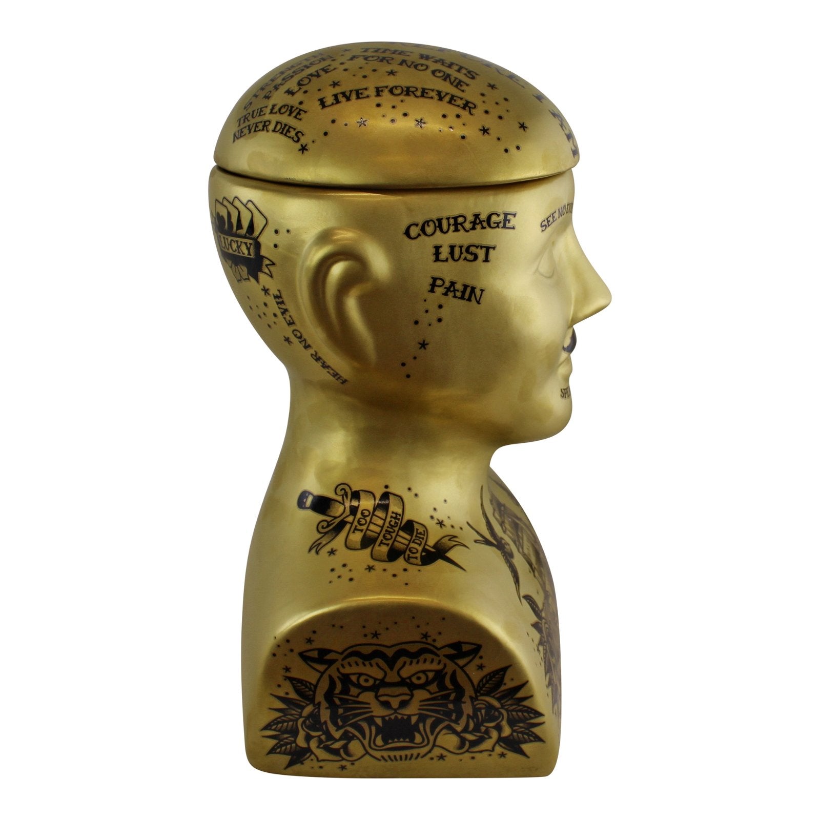 Large Gold Phrenology Head Storage Jar, 30cm
