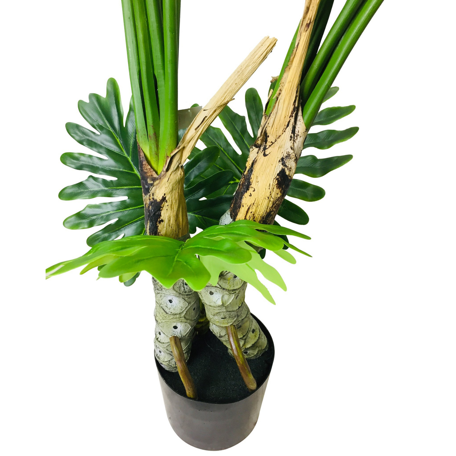 Artificial Philodendron Tree, Spot Stems 135cm