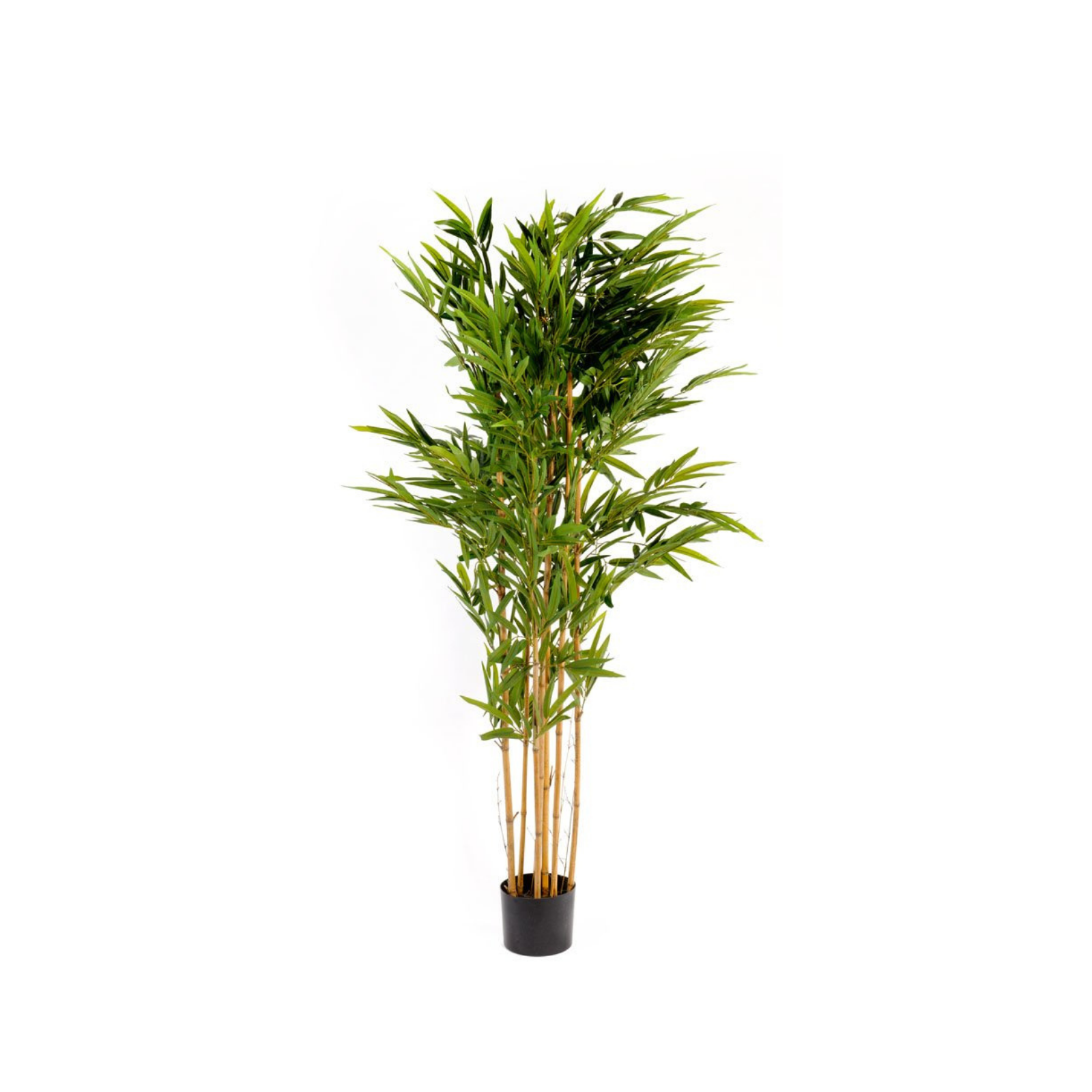 Artificial 6ft Bamboo Tree
