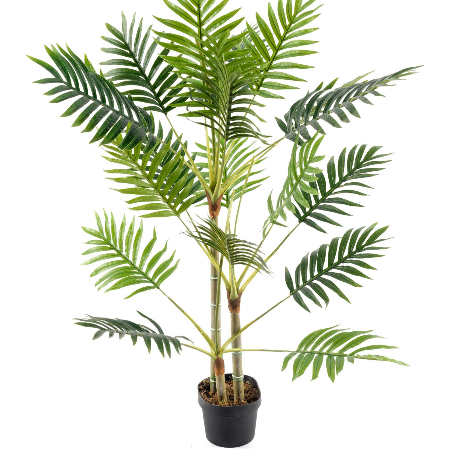 Palm Tree 100cm