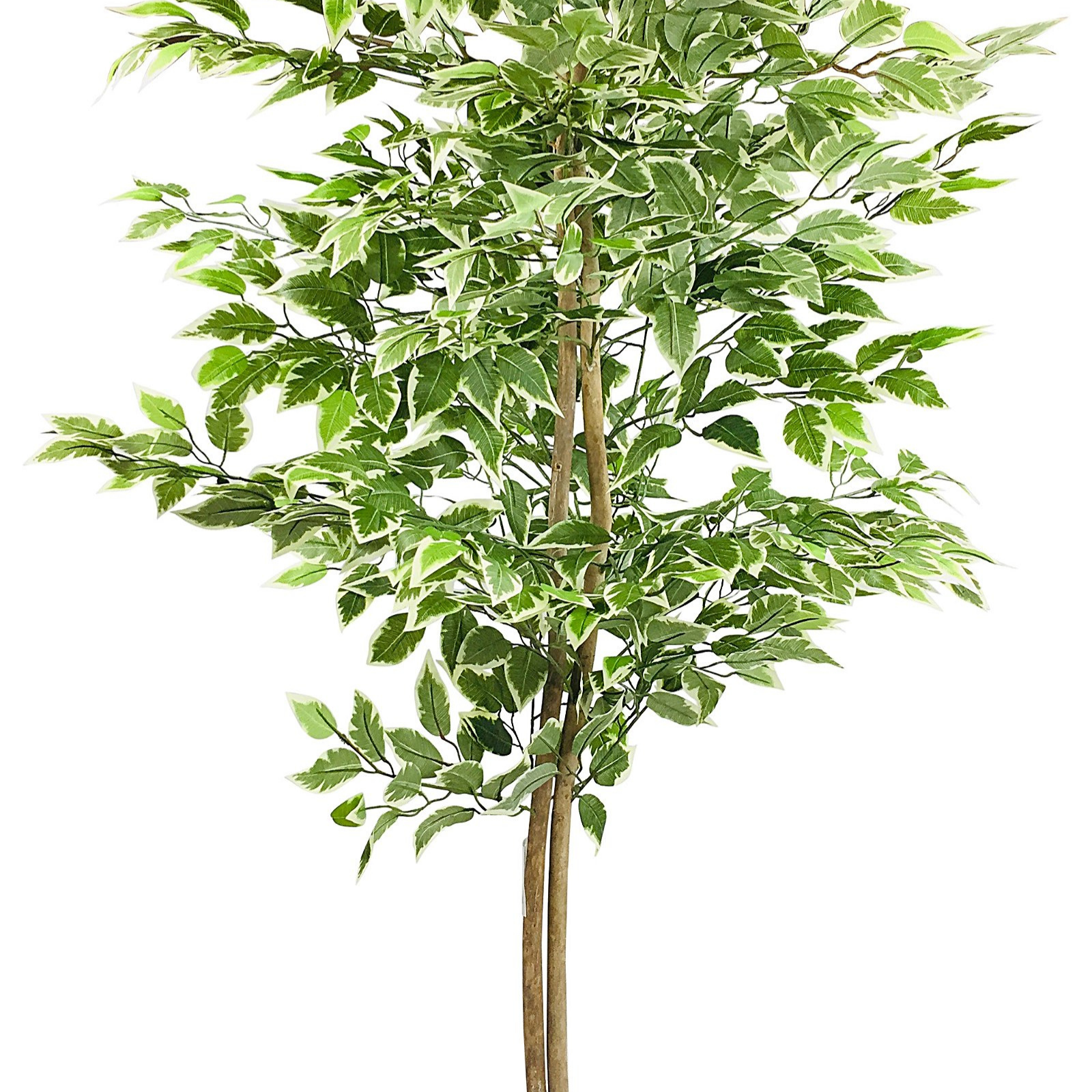 Artificial Ficus Tree With Variegation Leaves 150cm