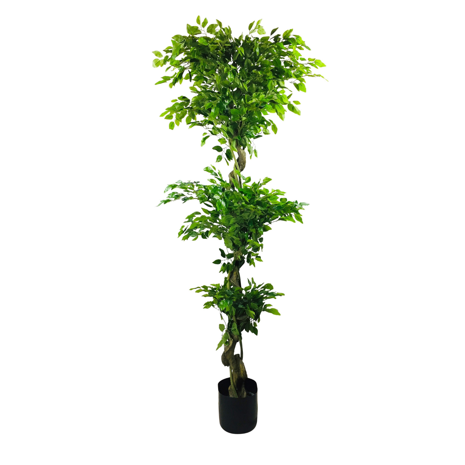 Artificial Ficus Leaf Topiary Mini Leaves 175cm