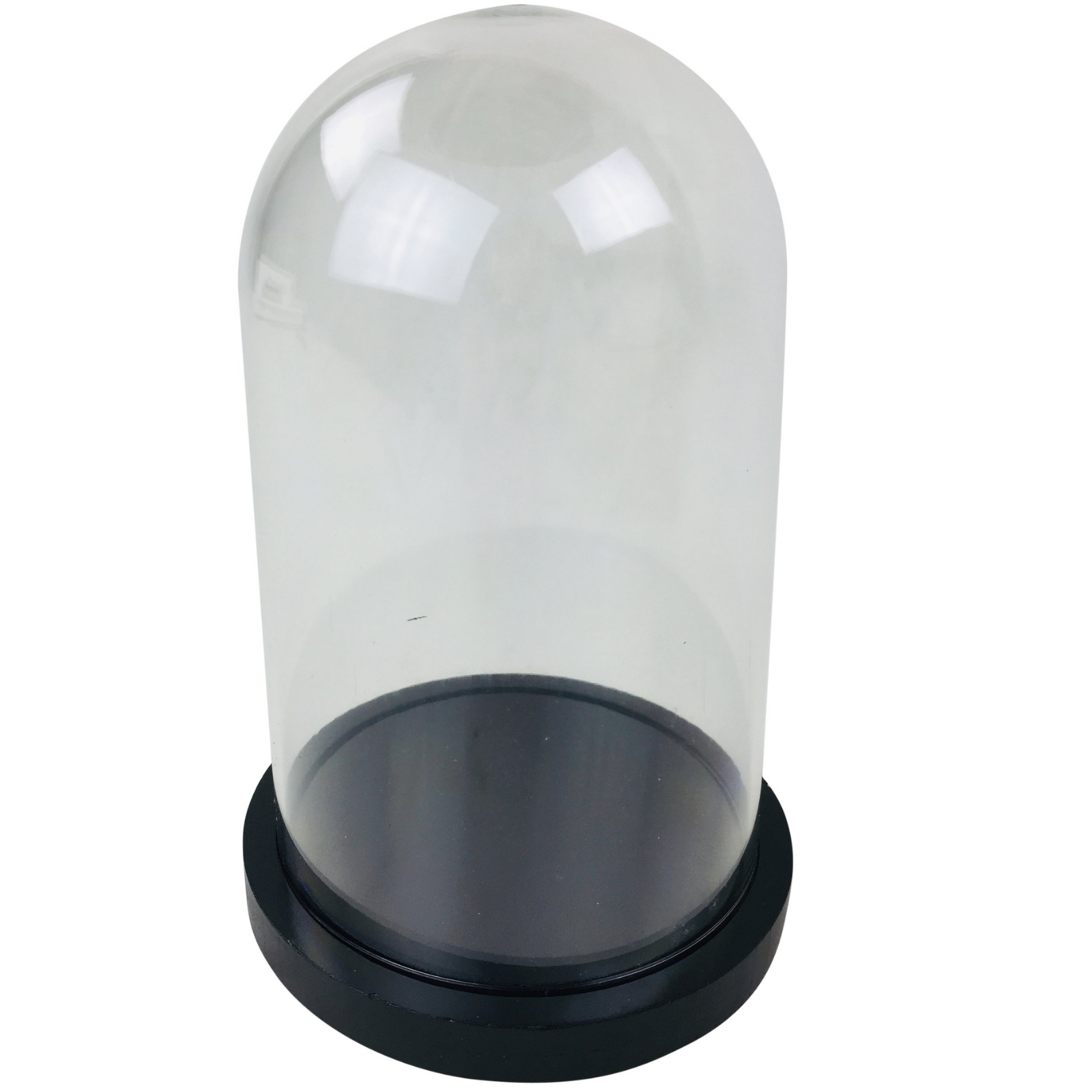 Plastic Display Dome 16.5cm